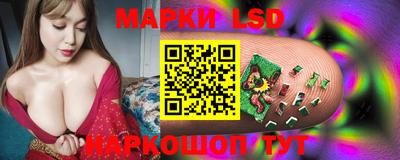 СК Шелехов