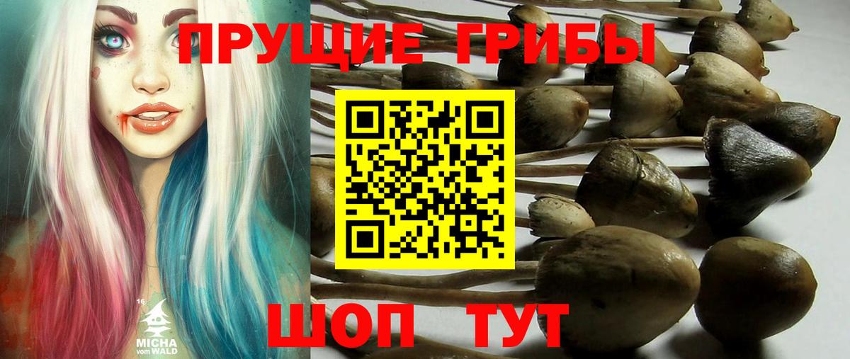 Галлюциногенные грибы MAGIC MUSHROOMS  Галлюциногенные грибы мицелий  Нефтекумск  Вход с VPN 